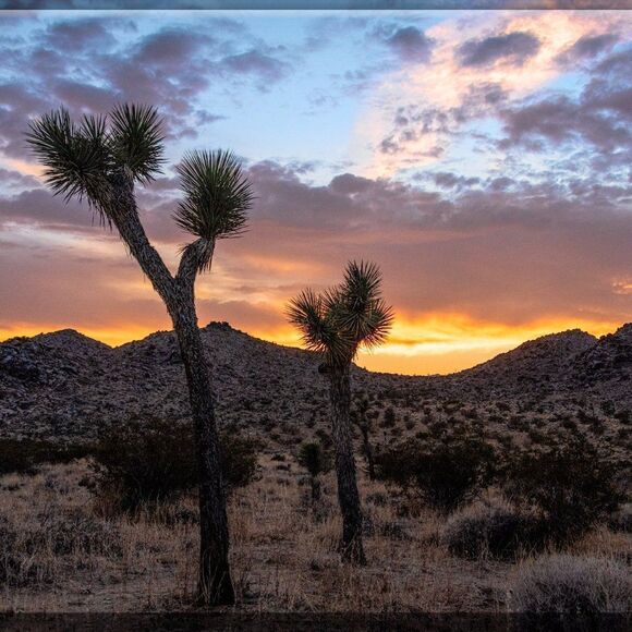 Some Amazing JT sunsets! - Picture 15 of 16